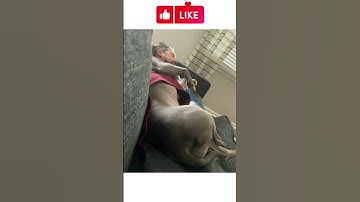 Confusing Perspective 🥴🥴 v73