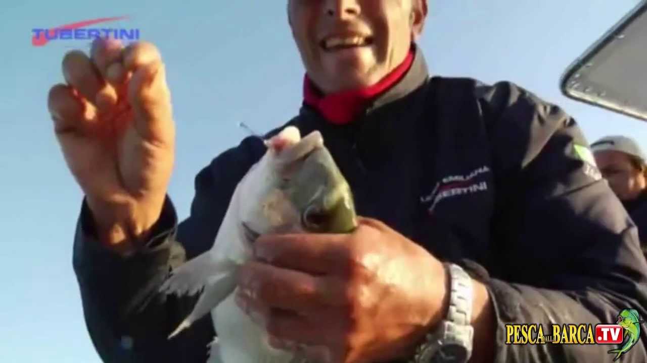 Marco Volpi spiega come pescare le orate (completo)