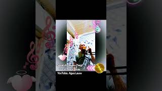 Separuh Jiwaku Pergi || Vocal. Agus Leuw