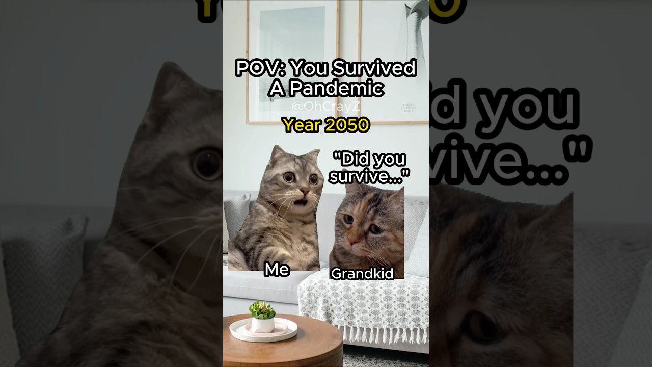 CAT MEMES 🐱 YOU SURVIVED A PANDEMIC 