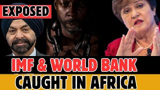 They Crashed Africa’s Money | The IMF & World Bank’s Hidden Agenda That Bankrupted Africa