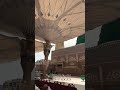 Madina Video #shorts #shortvideo #youtubeshorts #madina