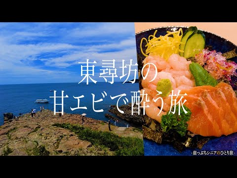 【シニアひとり旅】旬の甘エビが旨過ぎる🦐 東尋坊に泊まるならこの湯宿で決まり！｜崖っぷちシニアのひとり旅(温泉・グルメ)vol.40｜風の杜/IWABA CAFE/やまに水産/料理茶屋 魚志楼：福井県