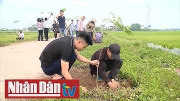 Nhóm "Xanh Hà Nội" và ước mơ 1 triệu cây xanh