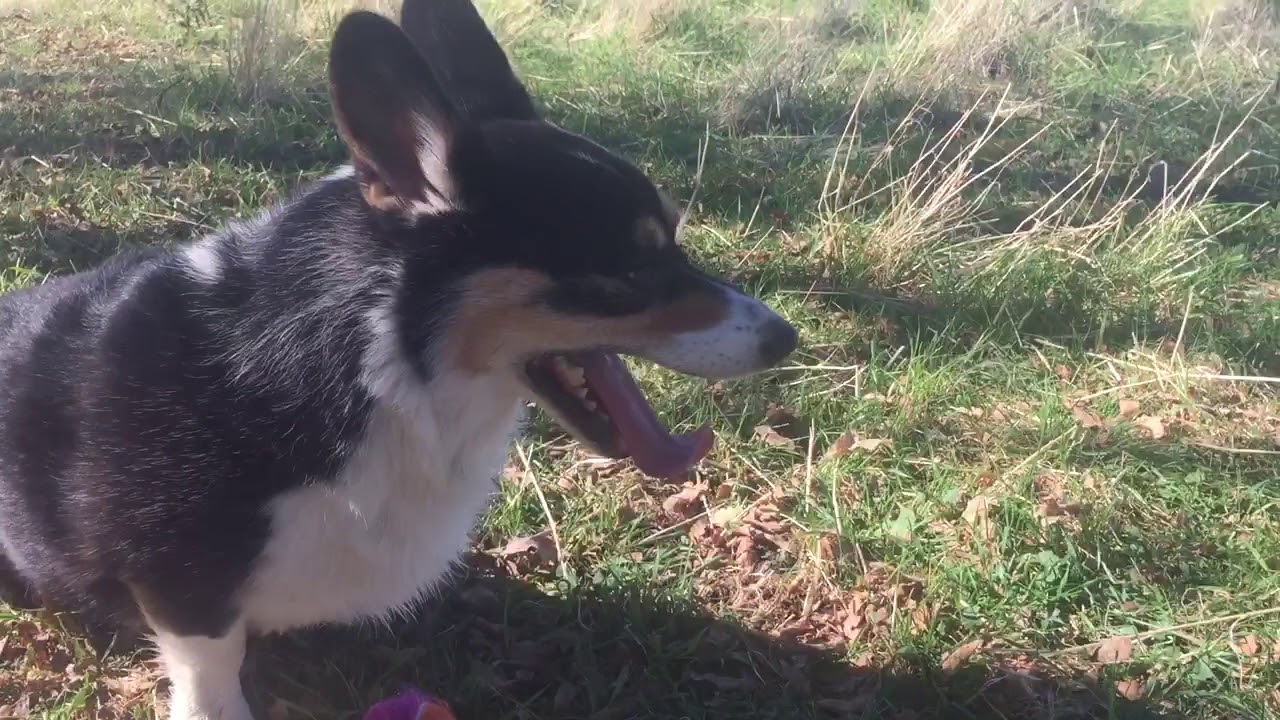 7E8AB111 BAF0 44F7 862A 937D10807FF0