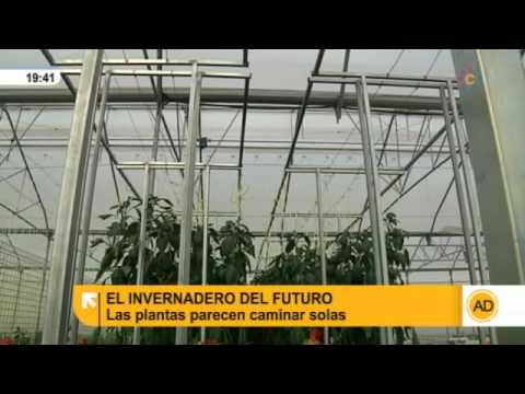 Video: El Invernadero Del Futuro