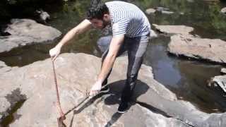 Handling a large Banded Water Snake (Nerodia fasciata) by Sam Sheikali 6,401 views 9 years ago 2 minutes, 23 seconds