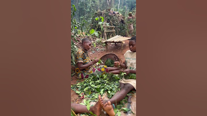 Convivencia en el sureste Camerún 📍con la Etnia Pigmeos Baka🍃 Culturas e del mundo, naturaleza