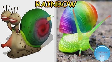 Larva in REAL LIFE! All Characters