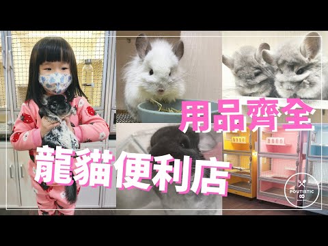 【龍貓便利店】全台商品最完整的實體龍貓專門店，週邊商品超齊全，一不小心就要買到剁手手！