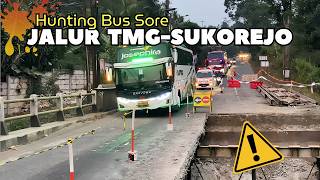 TRAFFIC IS A BIT HINDERED🥵Afternoon Bus Hunting On The Temanggung-WELERI Route