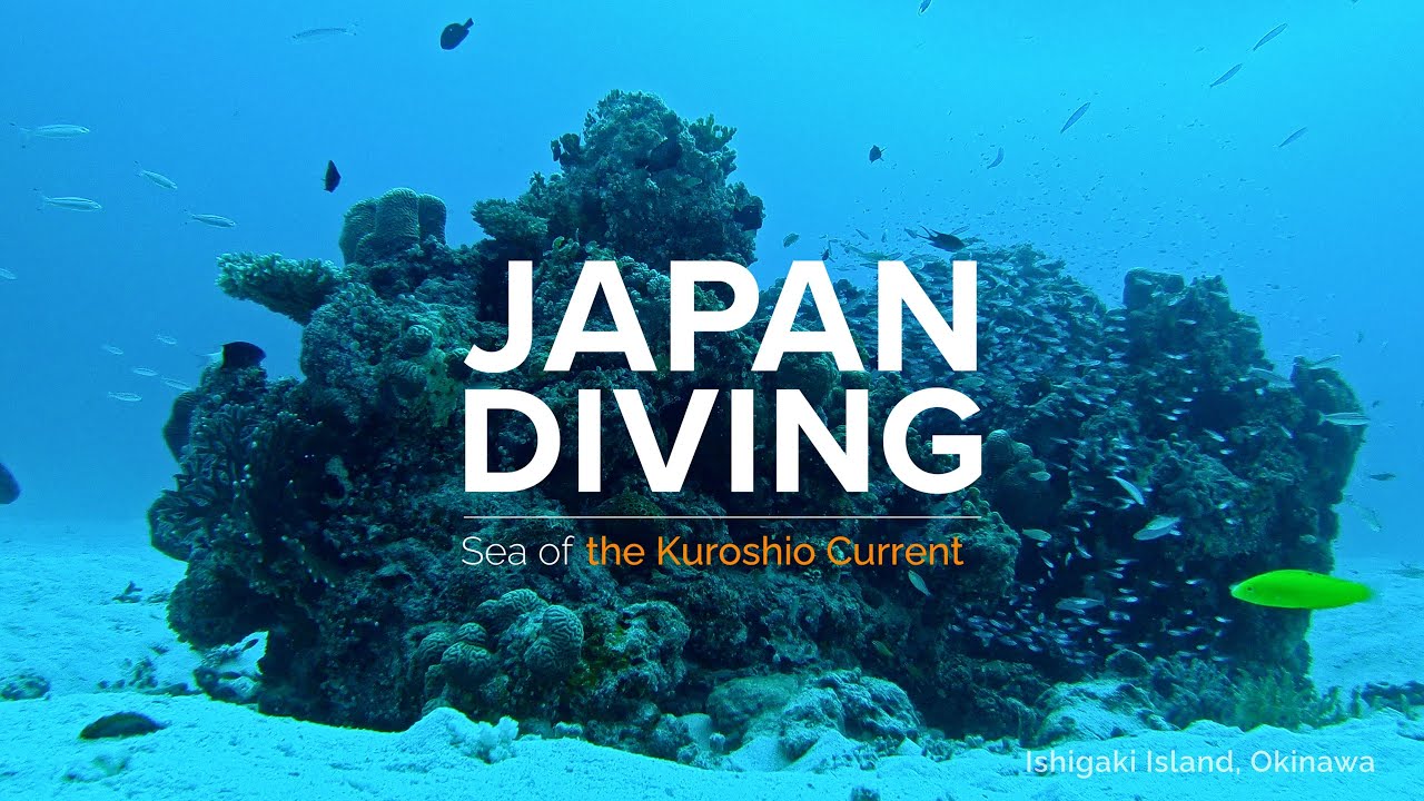 JAPAN DIVING | Sea of the Kuroshio Current | JNTO