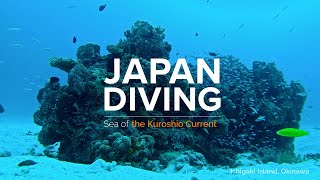 JAPAN DIVING | Sea of the Kuroshio Current | JNTO