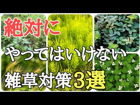 苦労してやった雑草対策が全てムダになるNG行動を紹介します。