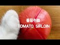 Cat Cooking Food ASMR || How To Cook Tomato Sirloin at Home? || Chinese Food