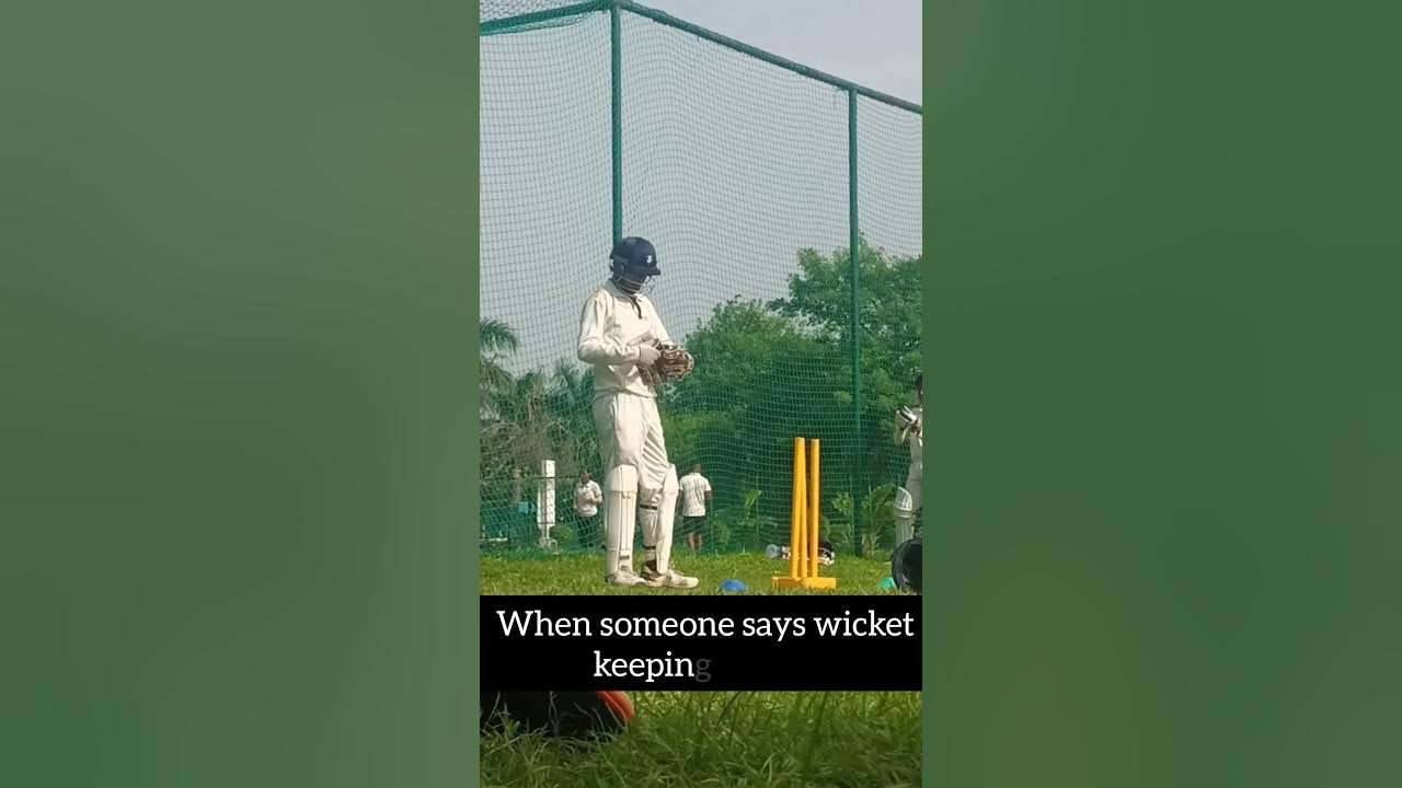 when someone says wicket keeping is easy meanwhile wicket keeper 🧐 cricket viral shorts