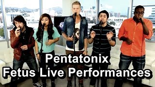 Pentatonix - Fetus Live Performances (2011-2013)