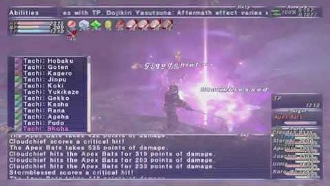 FFXI Beginner