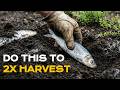 Learn How Plants Communicate From Native Americans to 2X More Harvests