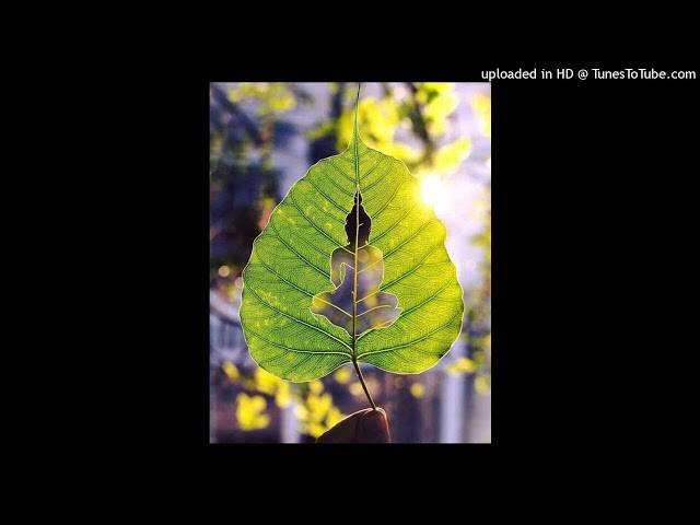 Meditazione Il Respiro del Vuoto - Ma