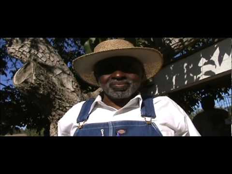 The B.I.G Show video phone beyonce mp3