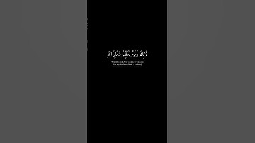 (ذلك و من يعظم شعائر الله ..) كروما قرآن شاشة سوداء - سورة الحج - الشيخ عبدالرحمن السديس