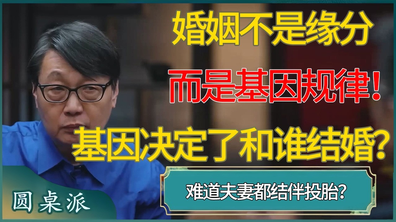 婚姻不是缘分，这是基因规律！难道夫妻都结伴投胎？ #窦文涛 #梁文道 #马未都 #周轶君 #马家辉 #许子东 #圆桌派  #圆桌派第八季