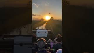 Sunset Tours In The Beautiful Everglades. Can’t Beat ‘Em. 🐊🌅🎥: (Epicairboattours/Ig)