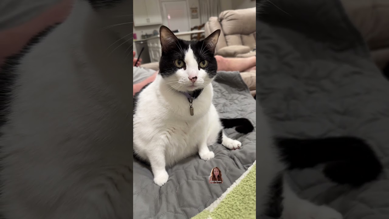 Willow hair on his socks 😭 