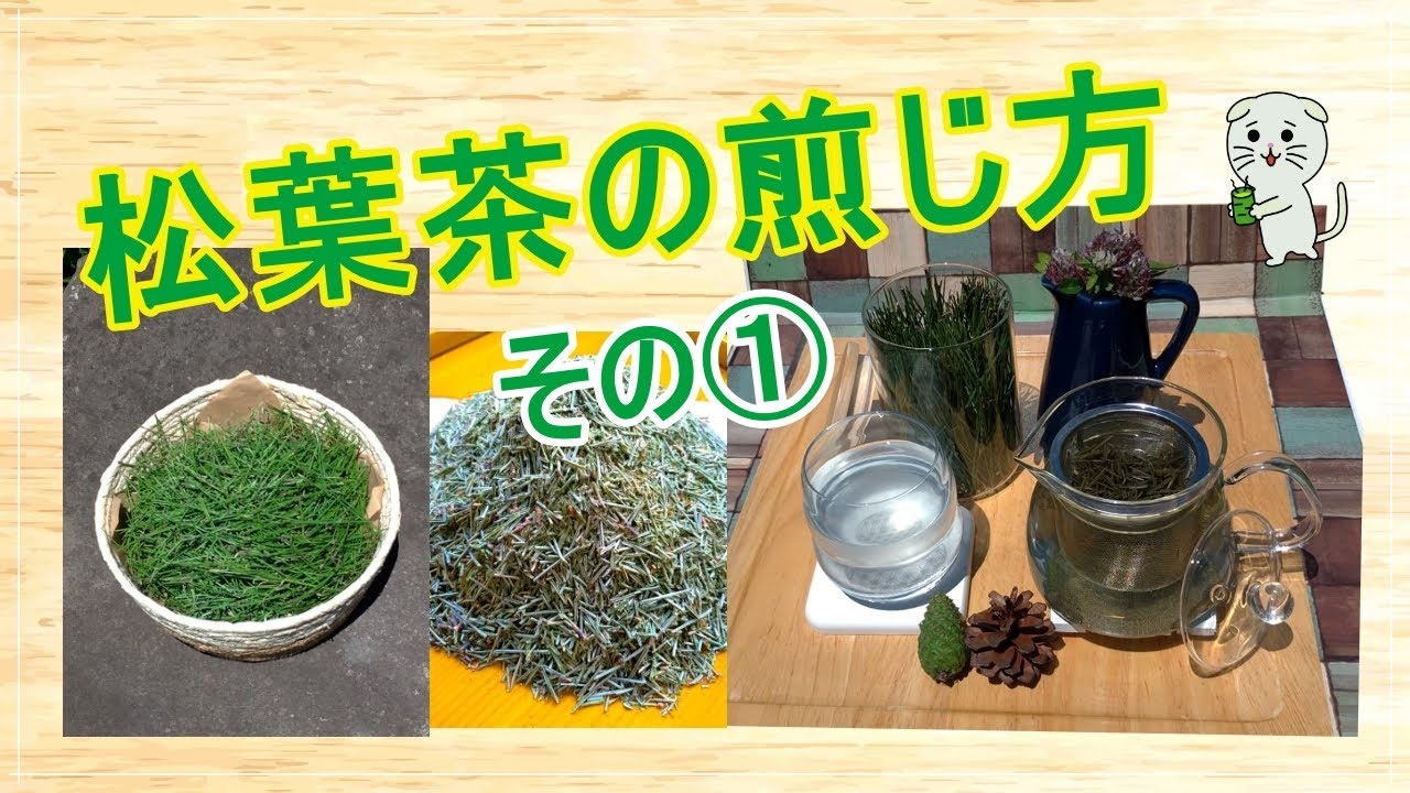 松葉茶 煎じ方 その 市販の松葉茶編 Youtube