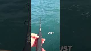 We got one! I just didn't expect this to happen. #fishing #Australia #fish #modcity