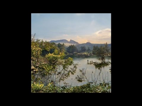 EricDoa & 8485 - Ignored (Prod. Rhine & Yung Skrrt)