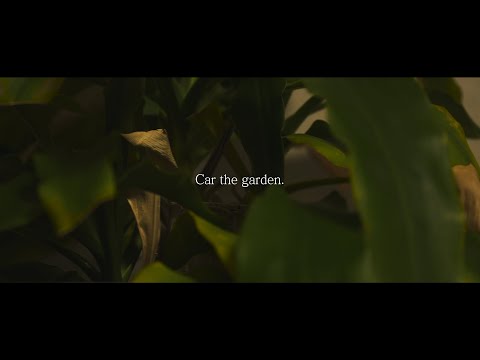 Car, the garden(카더가든) _ Tree(나무)