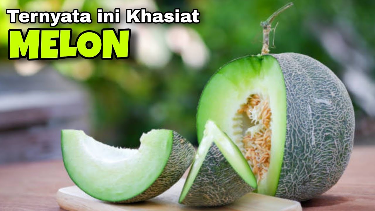 Inilah 10 Khasiat MELON bagi Kesehatan Tubuh SOBAT SEHAT YouTube