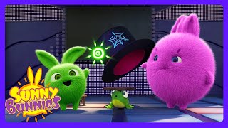 Sunny Bunnies - Magical Living Hat! | Kids Cartoons | WildBrain Zoo