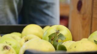 Mini-Doc. 07 Mercado De Chaves