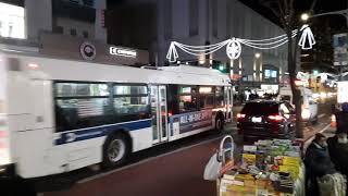 MTA New Flyer XD40 Bus Q54 is on the job (Ginger Hyronin 2019)