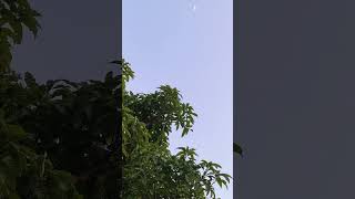 beautifull day time moon captured nature's beutifull view vibes captured minds relaxation