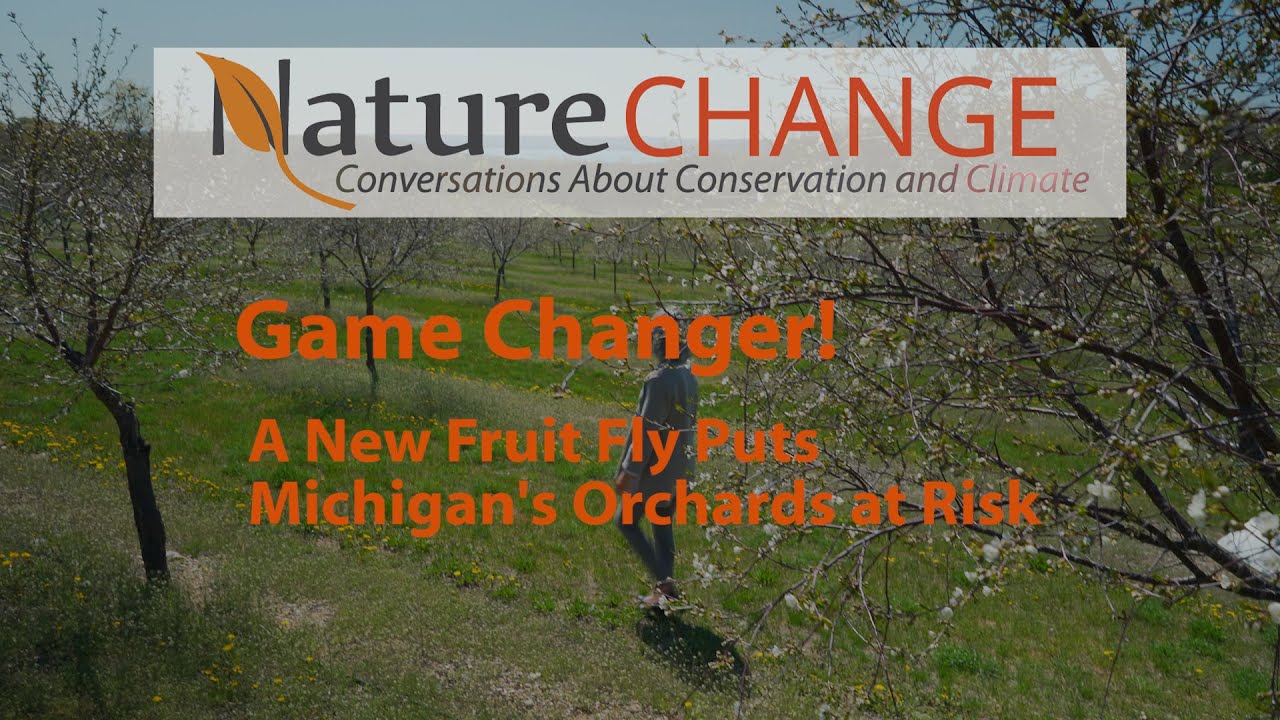 soft fruit peeler Game Changer! A New Fruit Fly Puts Michigan's Orchards at Risk