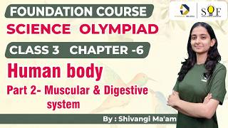 Class 3 Science Olympiad | Chapter 6- Human body | Part 2 - Muscular & Digestive system