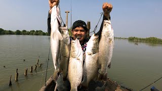 Spot Gila..! Panen Mancing Kakap Putih Babon cuma sebentar.. Muara Gembong