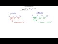 Introduction to Geometric Sequences