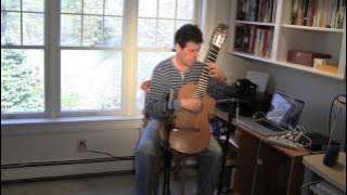 Alfie- Fred Fried, 8-string guitar