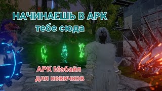 Арк Мобайл управление / арк как играть