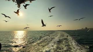 SOFT PIANO SOUND screenshot 3