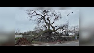 Roseville cleaning up storm damage as it prepares for another