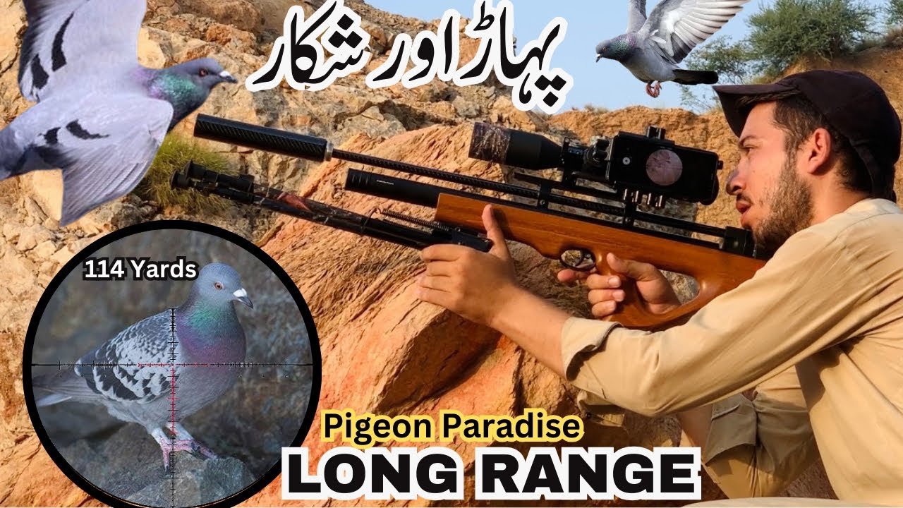 Pigeon Hunting with Airgun p15 100+ yards Airgun Hunting YouTube