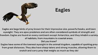 Winged Wonders: Exploring the World of Birds