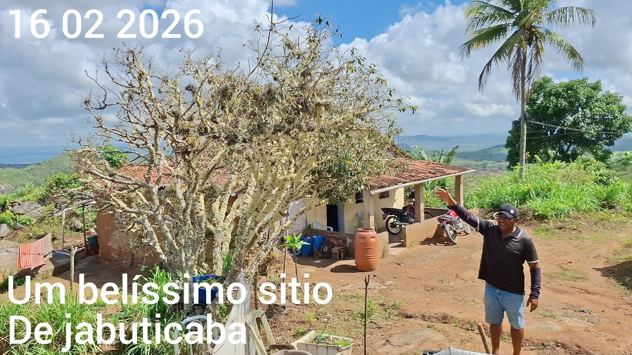 Um belíssimo sitio de jabuticaba no agreste Paraibano 