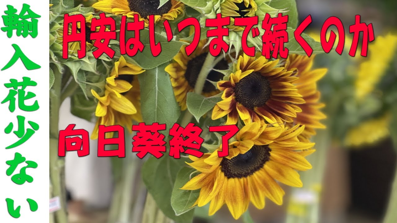 もっと身近に花と緑を 横浜の花問屋 モンキーポッド